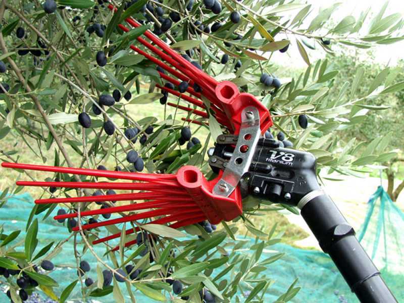 Lisam V8 Titanium - Abbacchiatore pneumatico - scuotiolive 6 bar - 2000 battiti al minuto