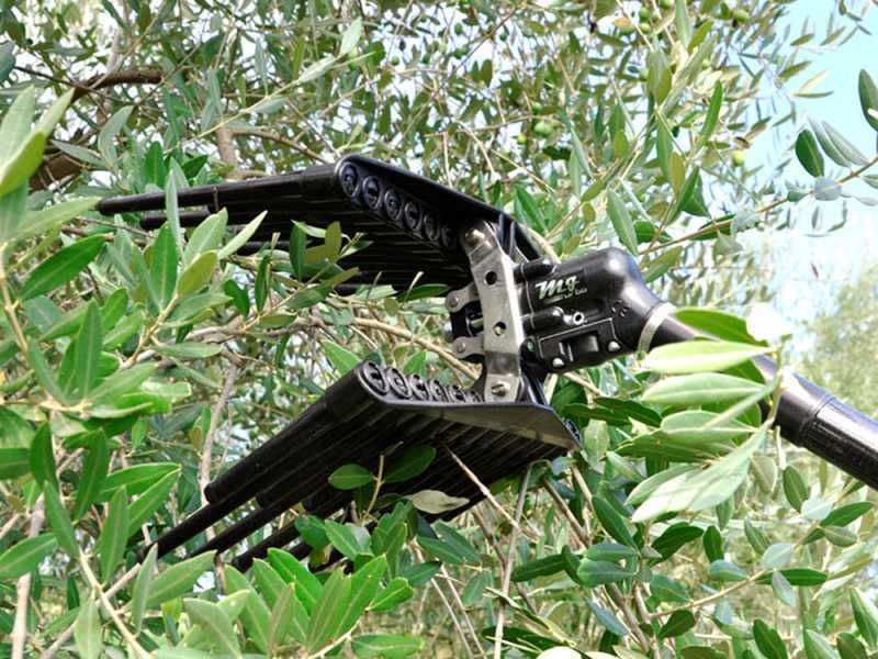 Lisam MG Turbo - Abbacchiatore pneumatico - scuotiolive 6 bar - 1800 battiti al minuto