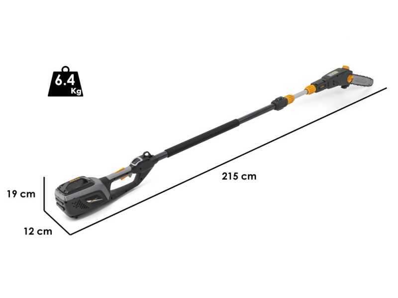 Alpina AMT48Li kit - Tagliasiepi e Potatore su asta di prolunga multifunzione - Batteria da 48V 2Ah