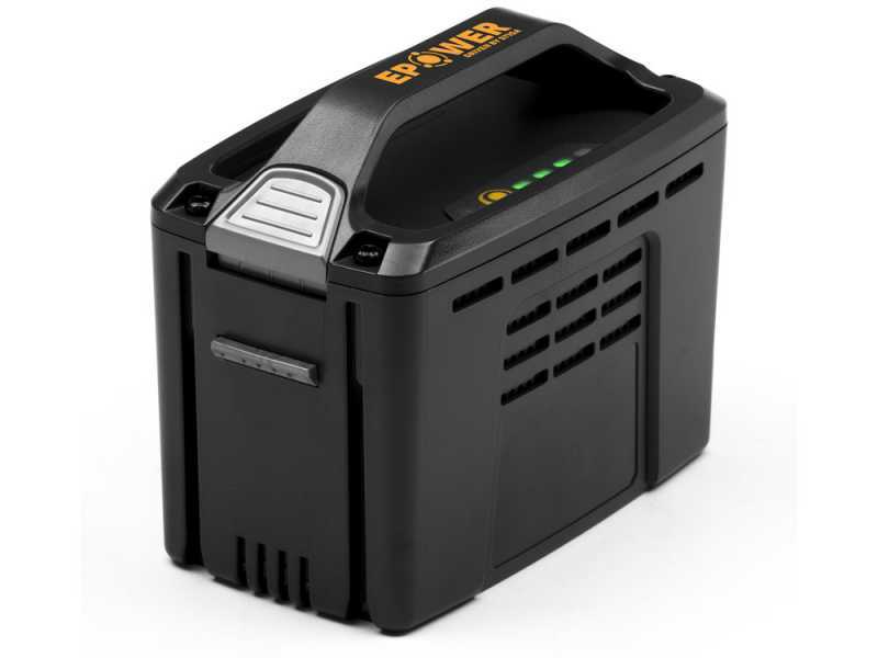 Alpina AMT48Li kit - Tagliasiepi e Potatore su asta di prolunga multifunzione - Batteria da 48V 2Ah