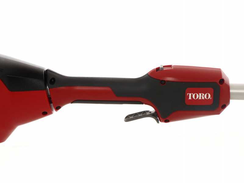 Toro 51847T - Potatore a batteria su asta di prolunga - Batteria 60V 2,5Ah