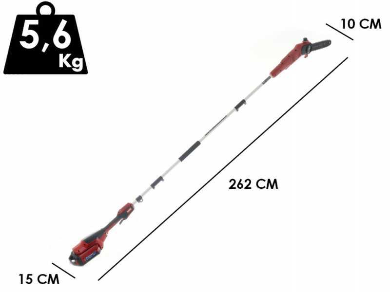 Toro 51847T - Potatore a batteria su asta di prolunga - Batteria 60V 2,5Ah
