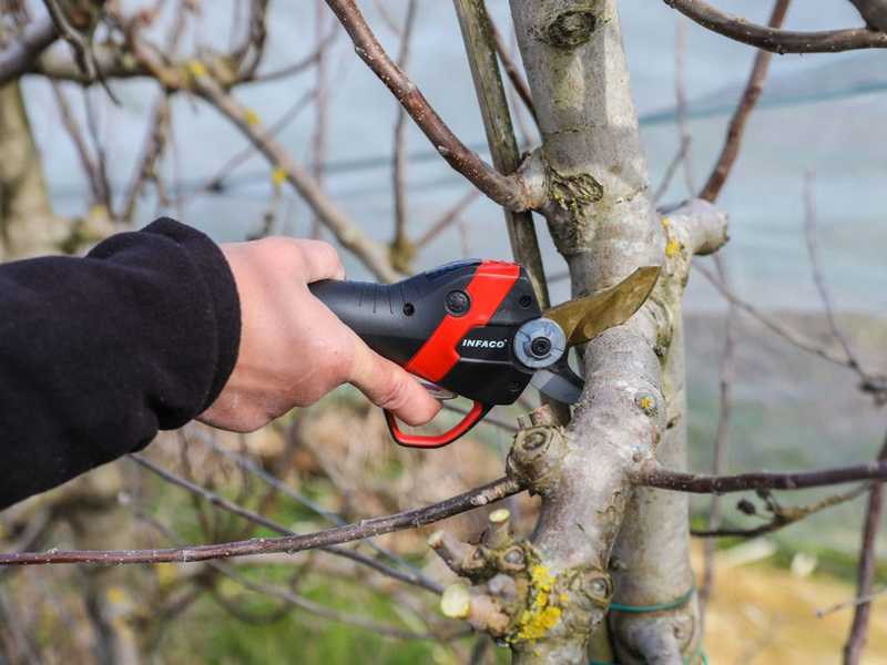 Infaco F3020 - Forbice elettrica da potatura su asta - 36V 3Ah - 227 cm