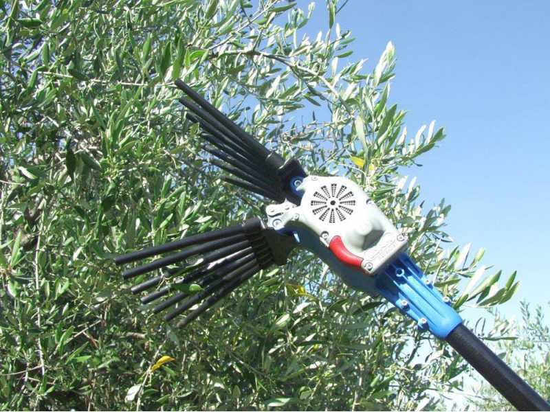 Lisam Oliwatt 2 - Abbacchiatore Elettrico a batteria - Con denti in Nylon - Asta Fissa