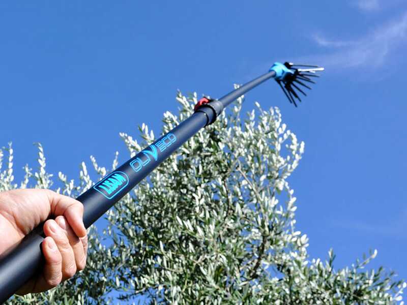 Lisam Oliveco - Abbacchiatore Elettrico a batteria - Con denti in Nylon  - 230-330 cm - Asta Telescopica