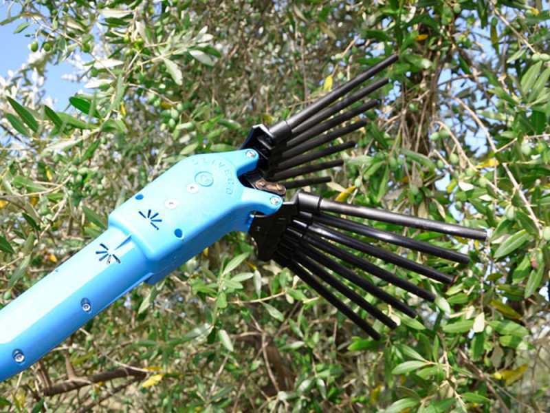 Lisam Oliveco - Abbacchiatore Elettrico a batteria - Con denti in Nylon  - Asta Telescopica