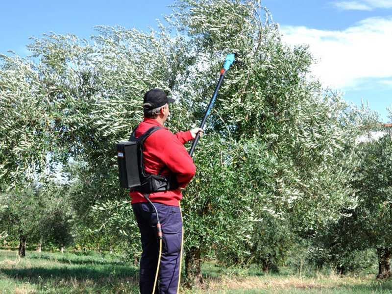Lisam Oliveco - Abbacchiatore Elettrico a batteria - Con denti in Nylon  - Asta Telescopica