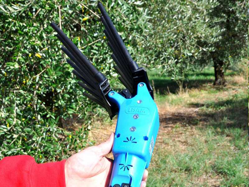 Lisam Oliveco - Abbacchiatore Elettrico a batteria - Con denti in Nylon  - Asta Telescopica