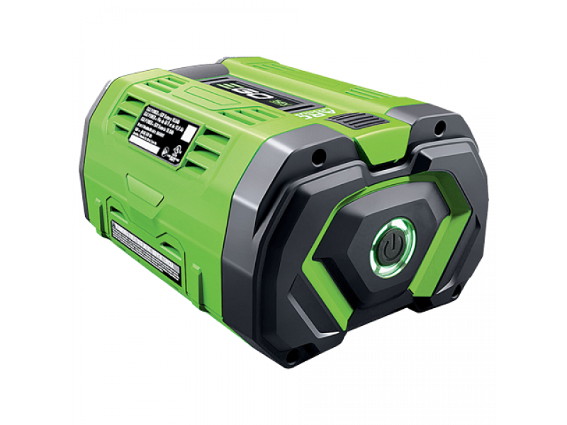 EGO Lotus - Abbacchiatore 56V - Batteria da 10Ah - Asta Fissa