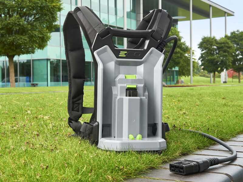 EGO Lotus - Abbacchiatore 56V - Batteria da 10Ah - Asta Telescopica - 190-280 cm