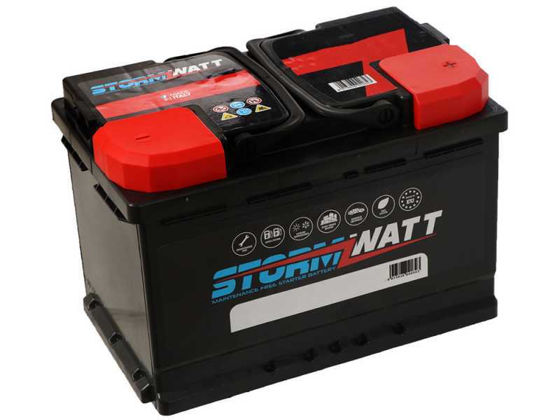 Aima Twist Standard - Abbacchiatore elettrico a batteria 210-310 cm - Asta alluminio + prolunga