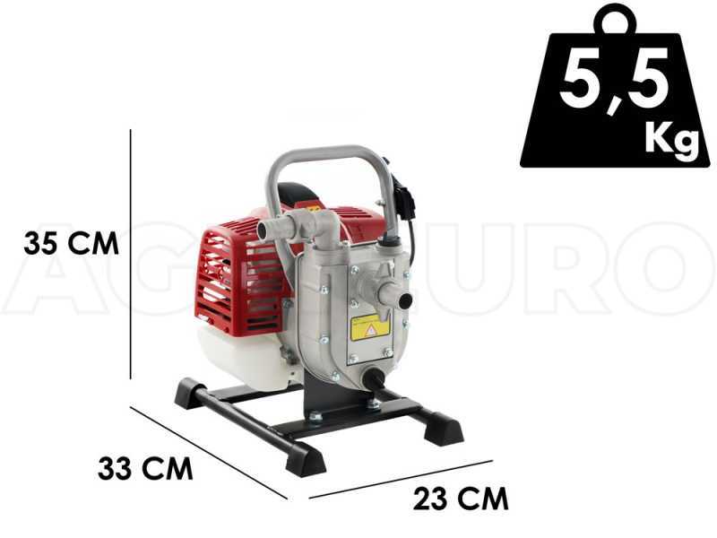 Blue Bird WP 341 - Motopompa a scoppio autoadescante per irrigazione
