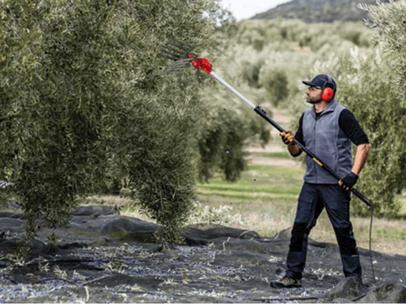 Zanon Olivar Electric AL 300 - Abbacchiatore elettrico a batteria da 191/316 cm - Asta telescopica in alluminio