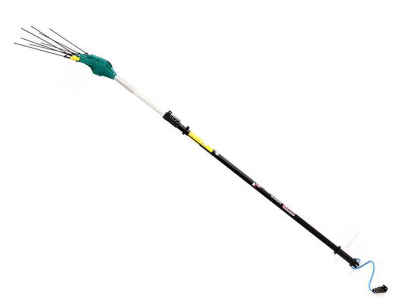 Zanon Falcon AL 200/F - Abbacchiatore elettrico a batteria - 170/250 - Asta telescopica