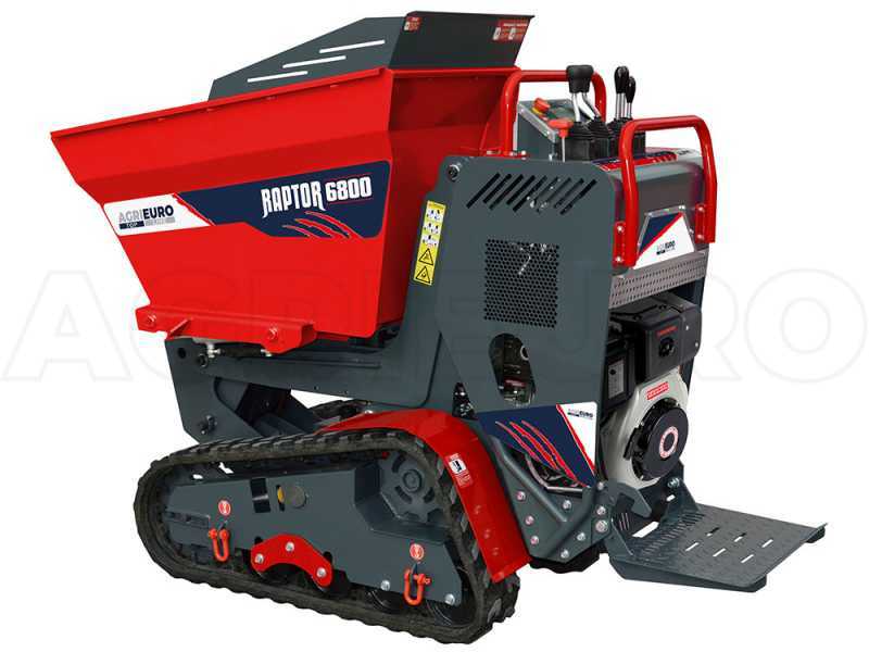 Motocarriola cingolata RAPTOR 6800 YED 4.0 - Yanmar L100E