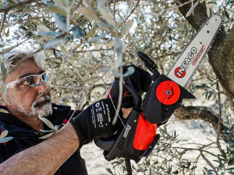 Infaco TR9 - Potatore a batteria su asta fissa da 183 cm - Batteria a zaino inclusa