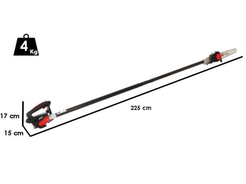 Infaco TR9 - Potatore a batteria su asta fissa da 183 cm - Batteria a zaino inclusa