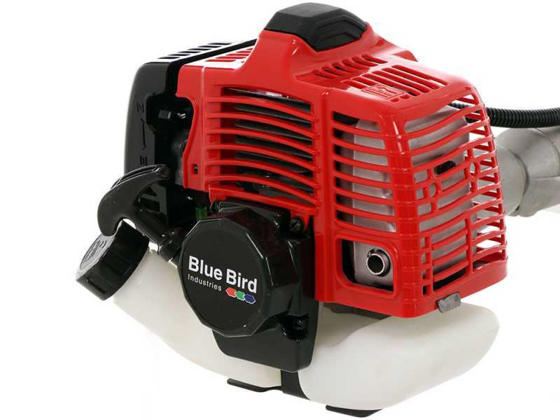 BlueBird PTT261 - Potatore a scoppio su asta telescopica - Lama da 30cm