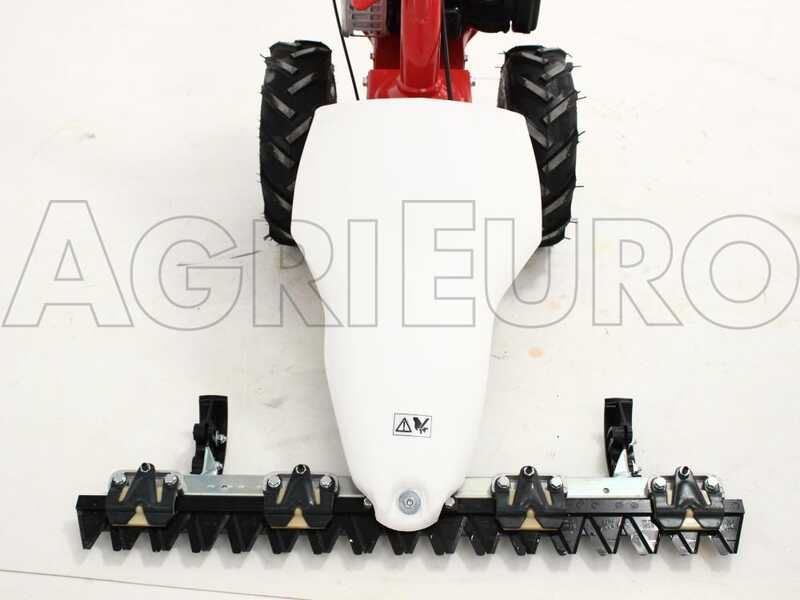 Motofalciatrice Eurosystems M210 Bilama - Larghezza 87cm, Motore B&S - Foto 10