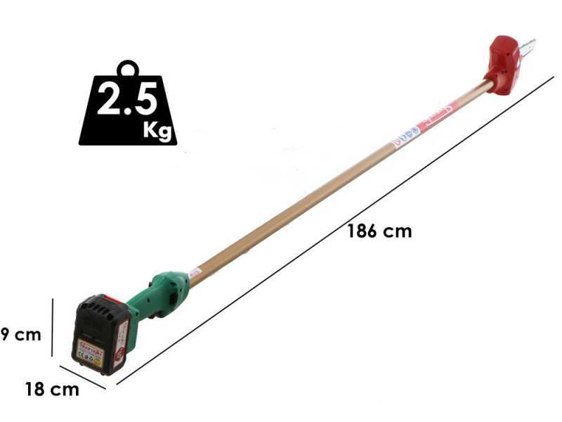 Sbaraglia ARES-22 - Potatore a batteria su asta di prolunga - 2 Batterie da 5.2 Ah/21V