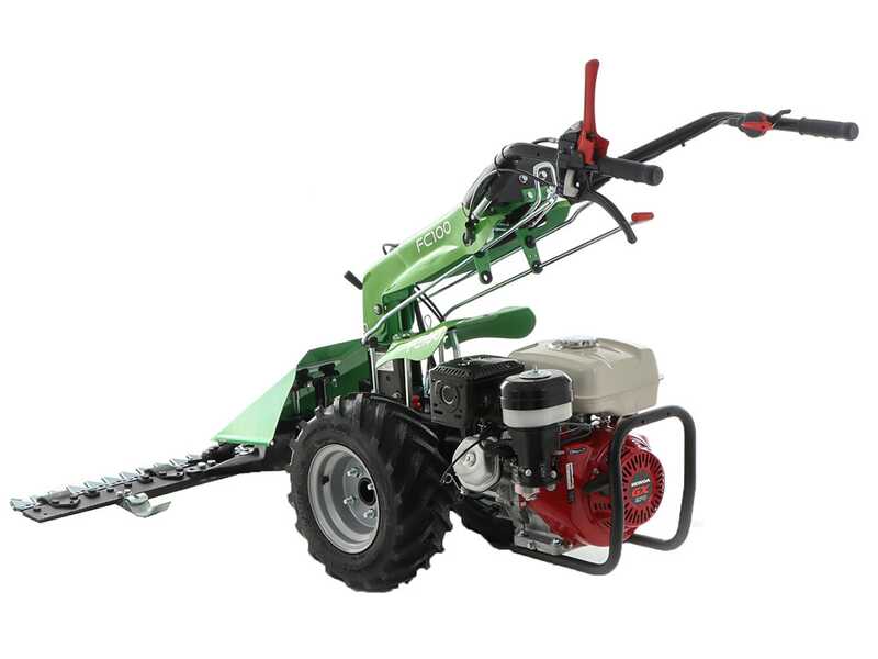 【中古】 Passionaria BattistiLeda 中古】 Passionaria BattistiLeda