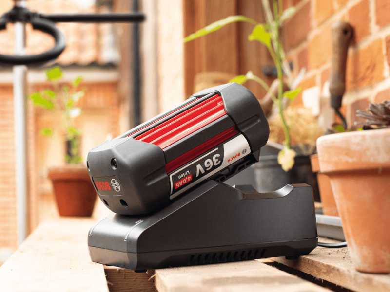 Bosch - Starter Set 36V 4.0 Ah per Linea Verde DIY