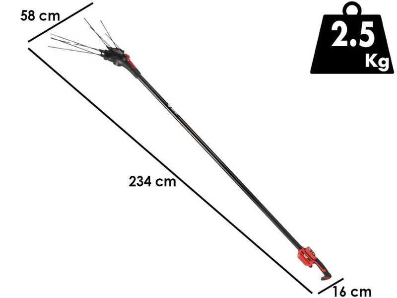 Blue Bird Egeo 23-50 - Abbacchiatore a batteria - 12 V - Asta fissa 235 cm