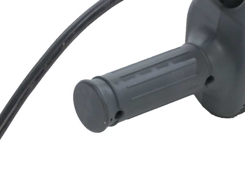 Lisam Swing 36V - Abbacchiatore Elettrico a batteria - Con 8 + 8 denti in carbonio - Asta Telescopica - 220-300 cm