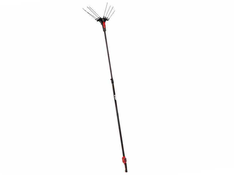 Blue Bird Egeo 23-50 AT - Abbacchiatore a batteria - 12 V - Asta telescopica 220 - 310 cm