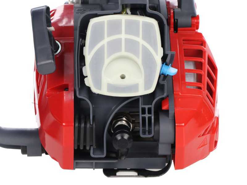 Efco MTTH 2400 - Motosega a scoppio da potatura - Lama da 25cm
