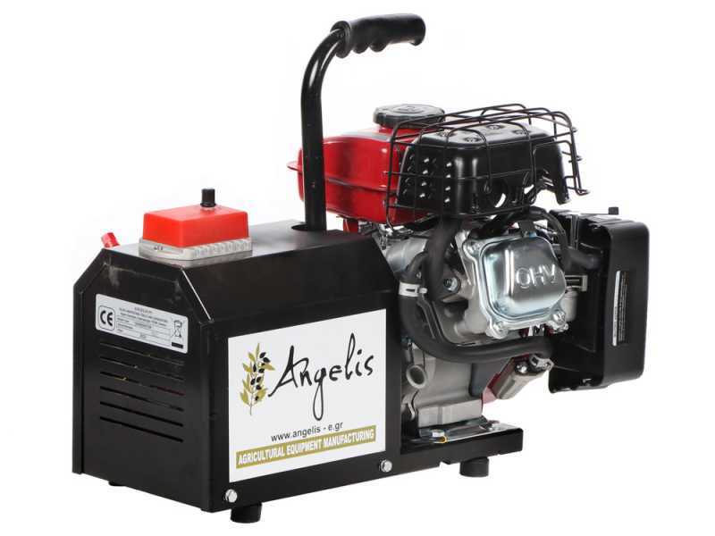 Agrieuro Premium Angelis - Generatore di corrente portatile 12/22V