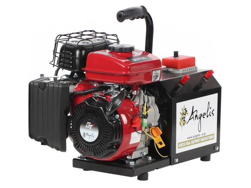 Agrieuro Premium Angelis - Generatore di corrente portatile 12/22V