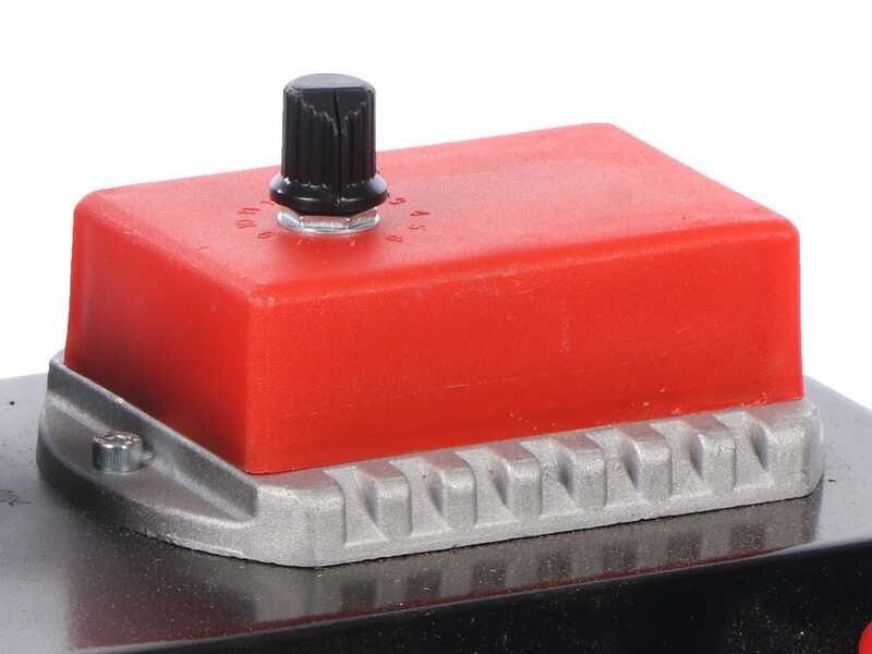 Agrieuro Premium Angelis - Generatore di corrente portatile 12/22V