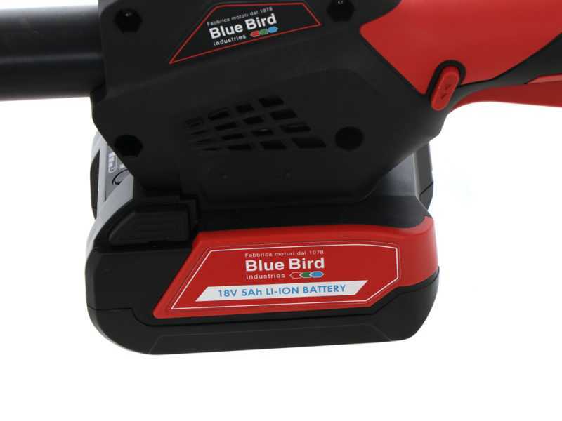 Blue Bird PCS 22-10 - Potatore telescopico a batteria - 2x 21V 5Ah
