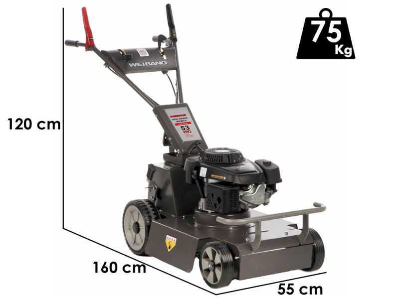 Weibang Conqueror - Trinciaerba a scoppio a lama - Loncin 1P70