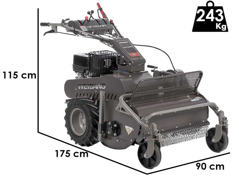 Weibang WBGT6813 - Trinciaerba professionale a martelli - Motore a benzina 9 HP