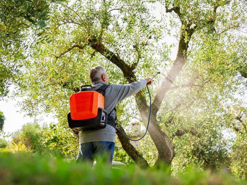 Stocker Ergomist 20 - Pompa irroratrice a spalla a batteria - Serbatoio 20 L - 21 V - SENZA BATTERIE