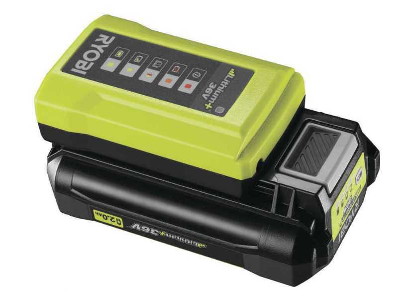 Ryobi RY36PP25A-0 - Potatore a batteria su asta con prolunga - Barra da 25cm - MAX POWER 36V 2Ah