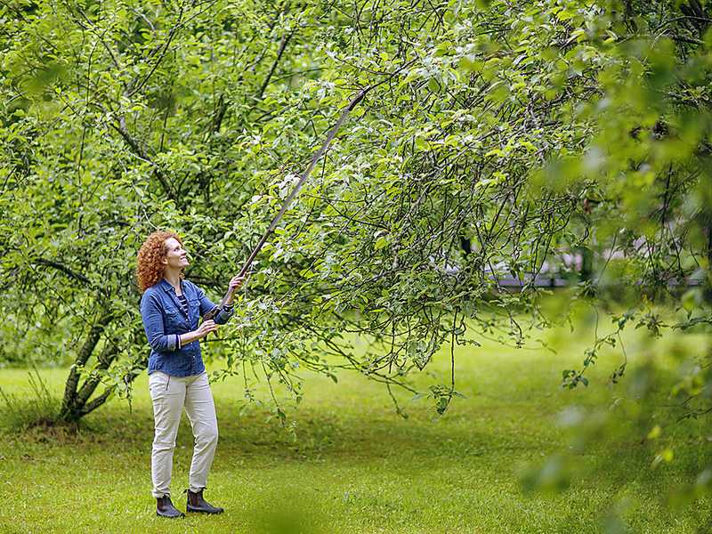 Fiskars Light UP69 - Forbice da potatura con manico lungo orientabile - &Oslash; 12 mm