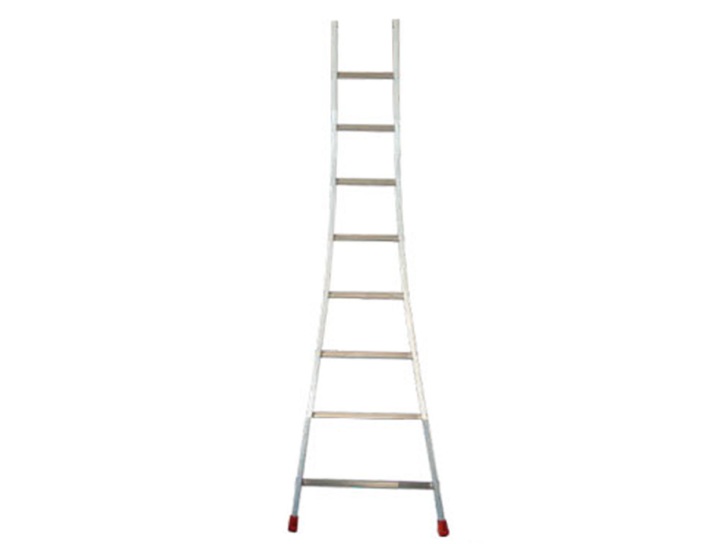 Facal Atlanta ATL-08/S, 8 gradini, 2.30 m - Scala da appoggio in alluminio - Altezza stimata operativa 3.19 m