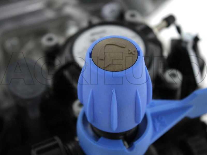 Motopompa irrorazione Comet MC 25 - Honda GP 160 su carrello serbatoio 120 lt