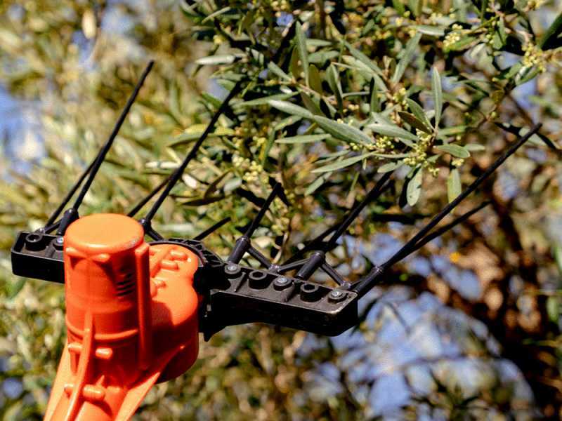Bahco BCL51 12V - Abbacchiatore elettrico a batteria - Asta in alluminio - 230 cm