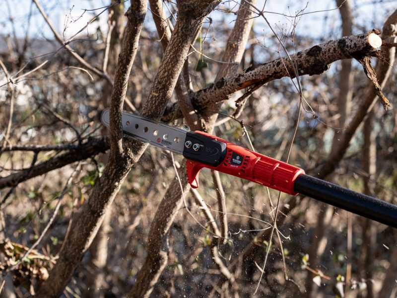 Blue Bird PCS 23-08 NIMBLER - Potatore a batteria su asta - 18V 4Ah