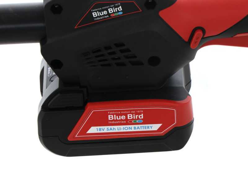 Blue Bird PCS 22-10A OIL PUMP - Potatore telescopico a batteria - 18V 5Ah