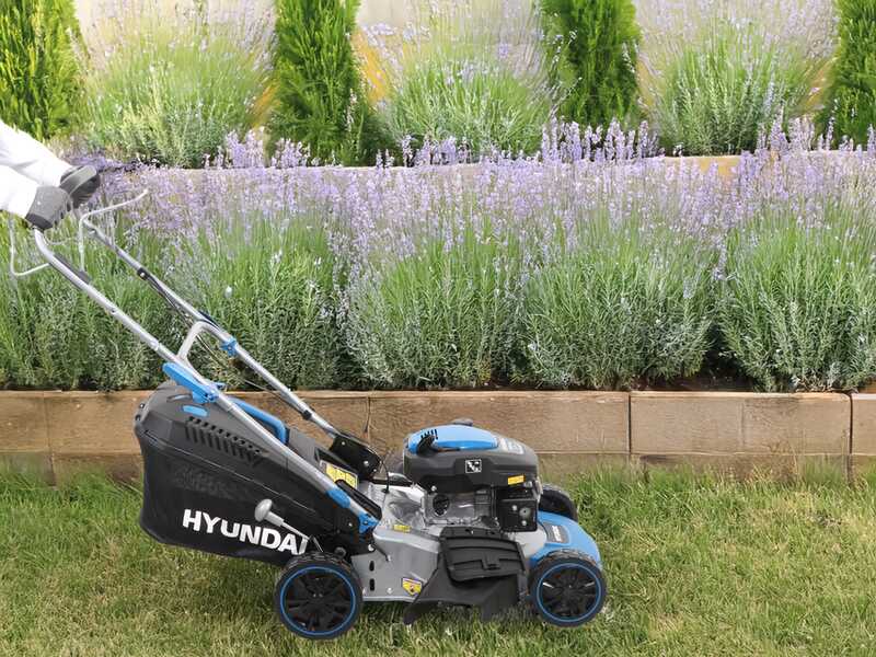 Hyundai DM43SC-D150 - Rasaerba a scoppio trazionato - Motore Hyundai DV150