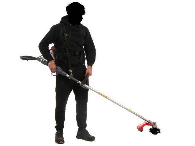 EFCO DSF 5400 - Decespugliatore a zaino - Motore Emak
