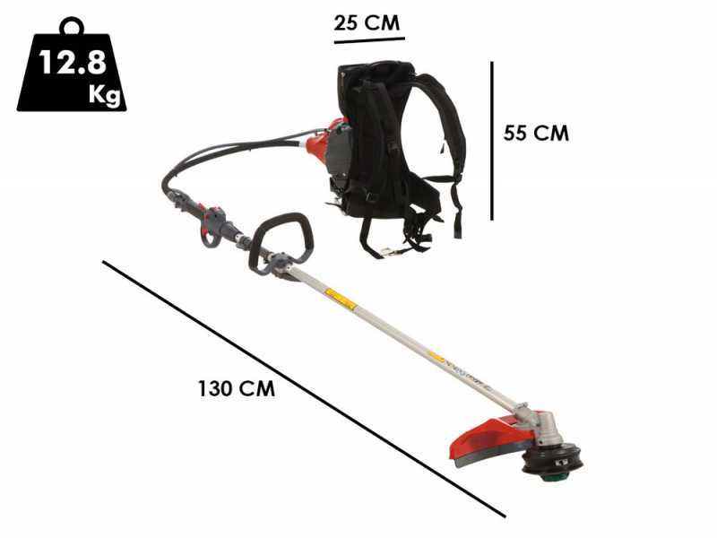 EFCO DSF 5400 - Decespugliatore a zaino - Motore Emak