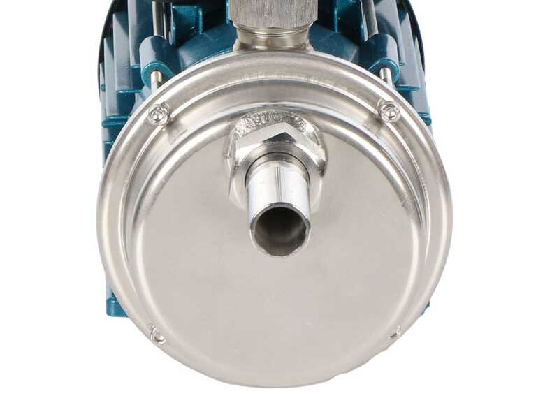 Tellarini ALM 25 - Pompa elettrica da travaso per olio in acciaio inox - Raccordi in INOX dritti - Monofase - 230V - Scegli i tuoi raccordi!