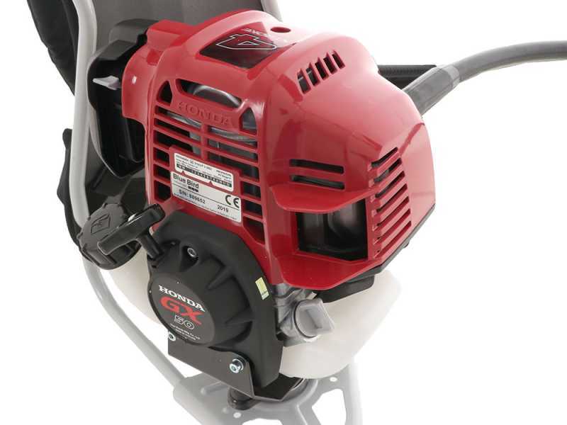 Blue Bird GX50 - Scuotitore con gancio a scoppio cm 280 motore a zaino Honda - Scuotiolive