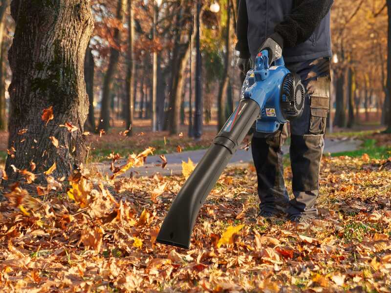 Hyundai EBV260 - Soffiatore aspiratore trituratore 3in1 a scoppio - 2 tempi 26 cc